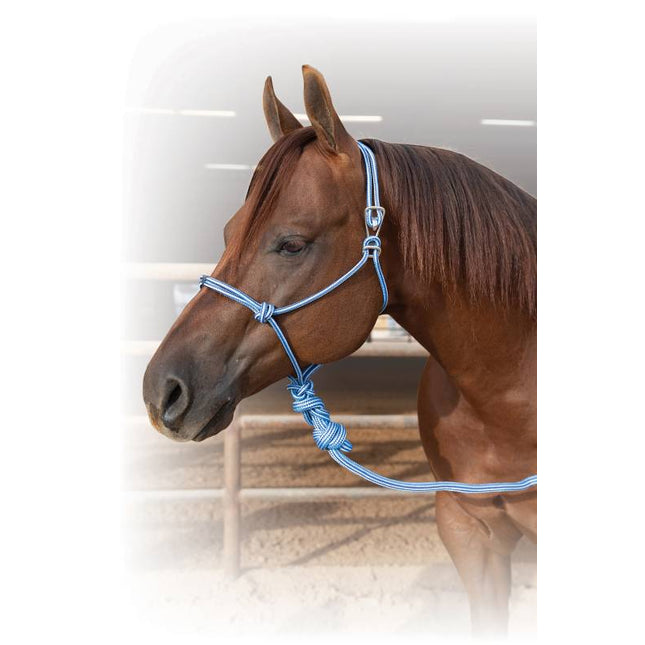 Professional's Choice Easy On Rope Halter Turquoise