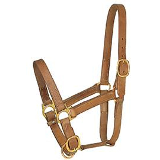 Professional's Choice Turn Out Halter Average