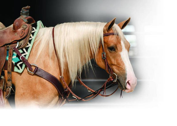 Single Rein German Mart