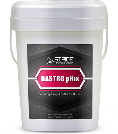Gastro pHix 11#