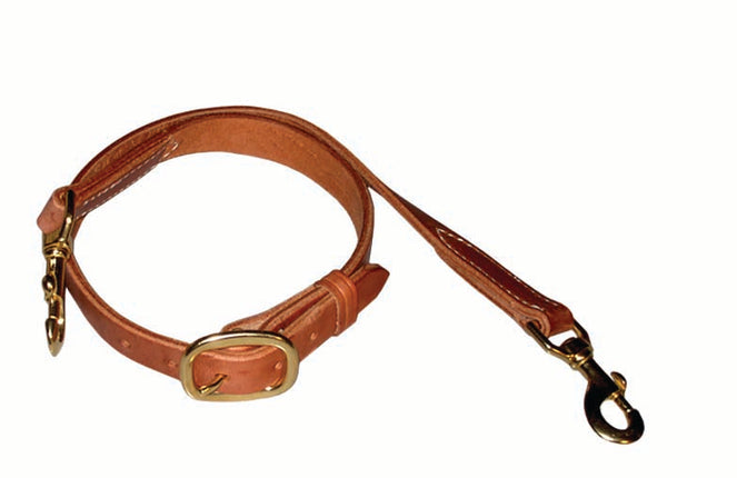 Berlin Tie Down 1" Harness
