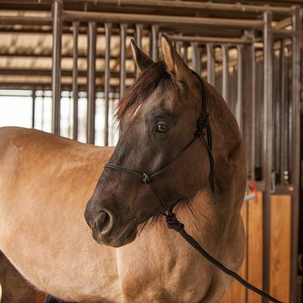 Classic Premium Rope Halter Average