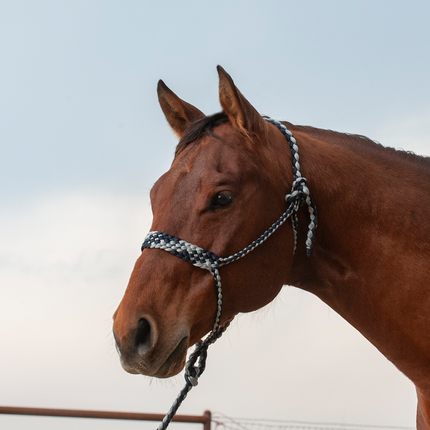 Classic Flat Braid Halter w/ Lead Grey/Navy