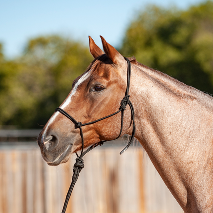 Classic Solid Rope Halter w/ Lead Black