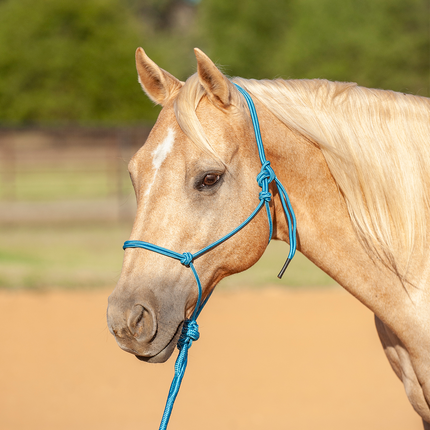 Classic Solid Rope Halter w/ Lead Turquoise