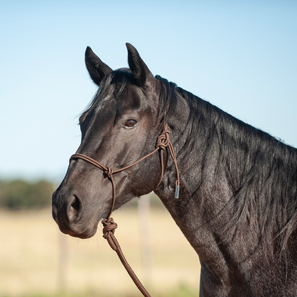 Classic Solid Rope Halter w/ Lead Chocolate