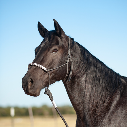 Classic Tri-Tone Halter w/ Lead Charcoal/Grey/White