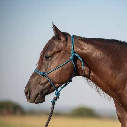 Classic Rope  Halter w/ Lead Blue/Black