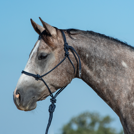 Classic Rope  Halter w/ Lead Navy