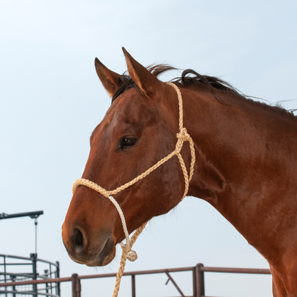 Classic Rope Nose Halter w/ Lead Tan