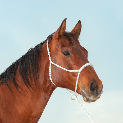 Classic Rope Nose Halter w/ Lead White