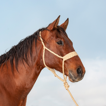 Classic Wide Nose Flat Braid Rope w/ Lead Tan