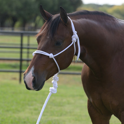 PC Rope Halter w/10' Lead White