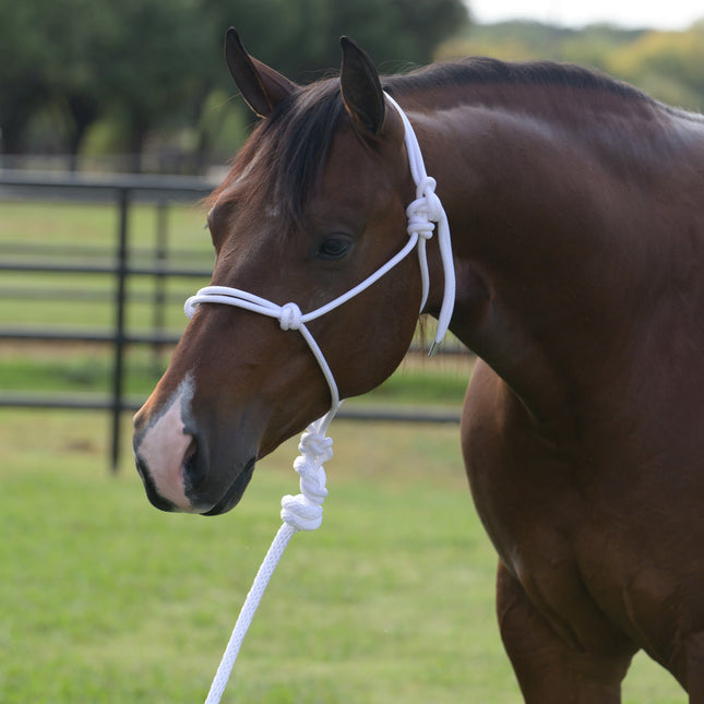 PC Rope Halter w/10' Lead White
