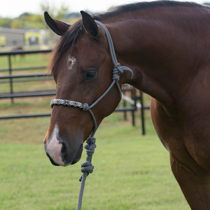Professional's Choice Beaded Rope Halter Charcoal
