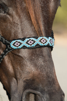 Professional's Choice Cowboy Braided Halter Beaded Black/Blue
