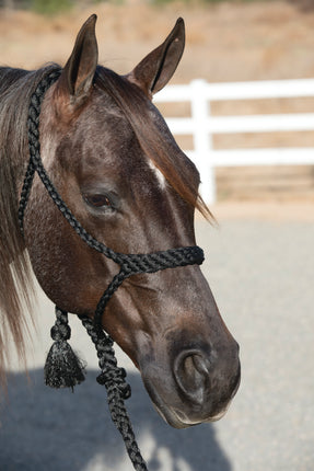Professional's Choice Cowboy Braided Halter 10' Lead Black