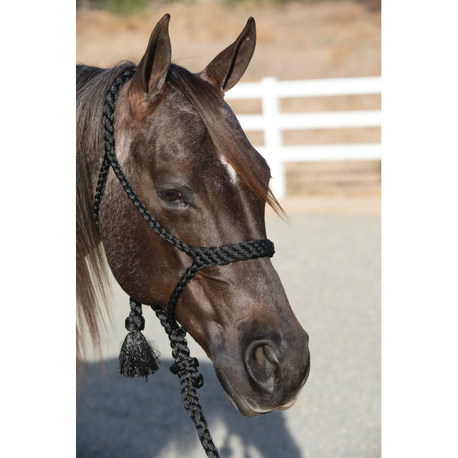 Professional's Choice Cowboy Braided Halter 10' Lead Black