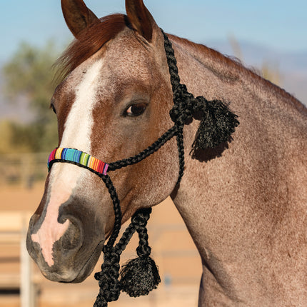 Professional's Choice Cowboy Braided Halter Beaded Black/Serape