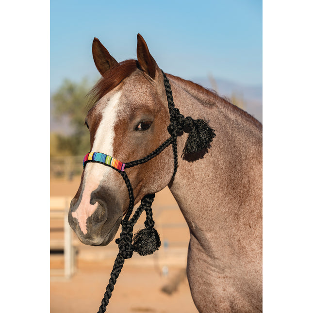 Professional's Choice Cowboy Braided Halter Beaded Black/Serape
