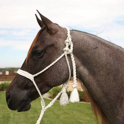 Cowboy Braided Halter 10' Lead