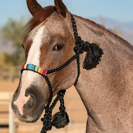 Cowboy Braided Halter Beaded