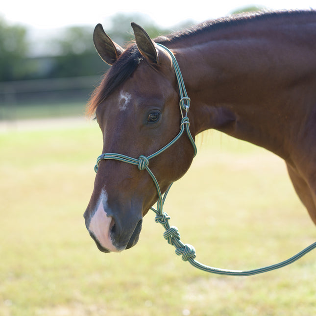 Professional's Choice Easy On Rope Halter Emerald