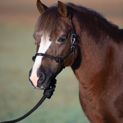 Professional's Choice Easy On Rope Halter Black Mini