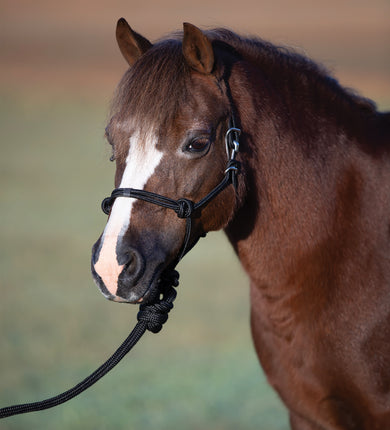 Professional's Choice Easy On Rope Halter Black Mini