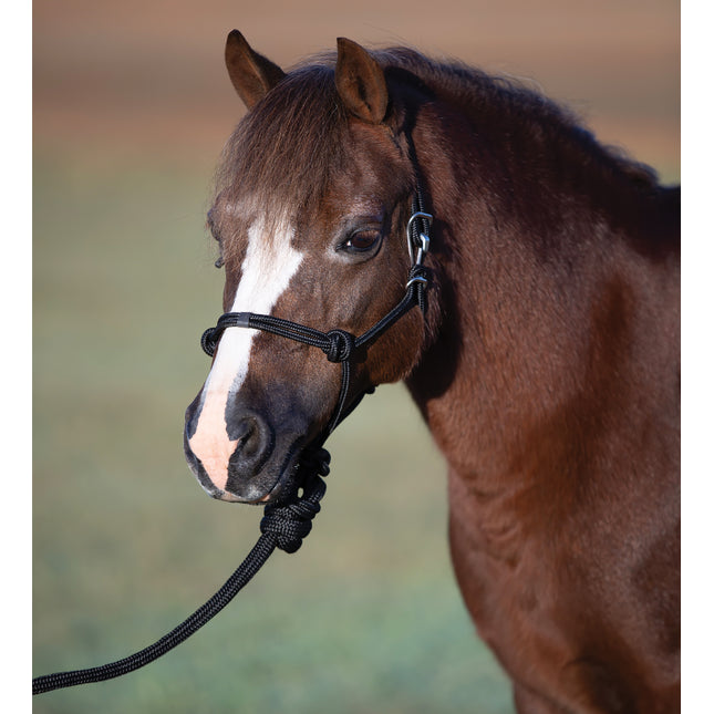 Professional's Choice Easy On Rope Halter Black Mini