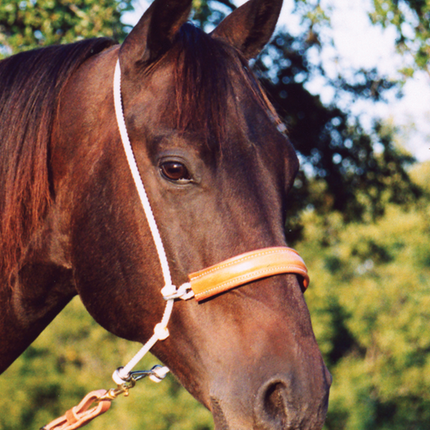 Leather Nose Headsetter Tiedown