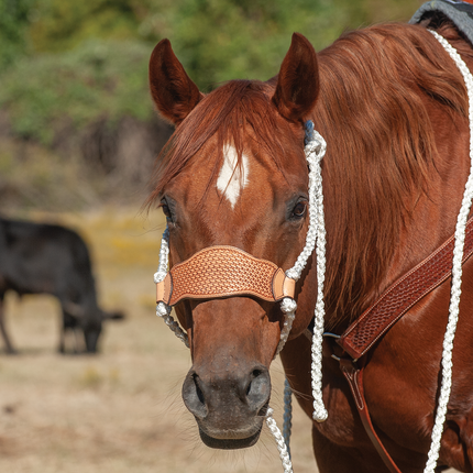 Cashel Flat Braid Bronc Halter