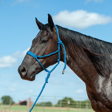 Cashel Flat Braid Halter w/ Lead Blue