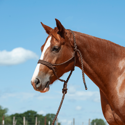 Cashel Flat Braid Halter w/ Lead Brown