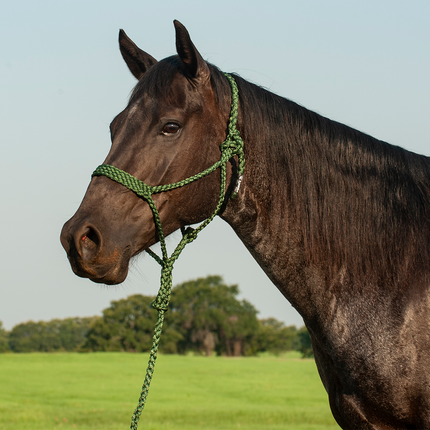 Cashel Flat Braid Halter w/ Lead Green