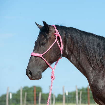 Cashel Flat Braid Halter w/ Lead Pink