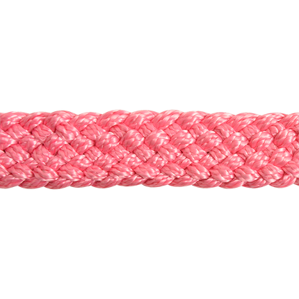 Cashel Flat Braid Halter w/ Lead Pink