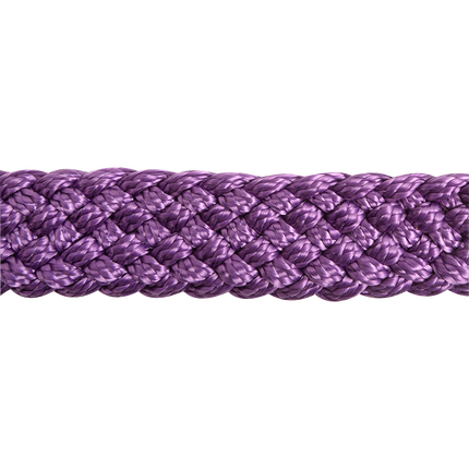 Cashel Flat Braid Halter w/ Lead Purple