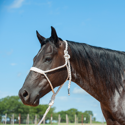 Cashel Flat Braid Halter w/ Lead White