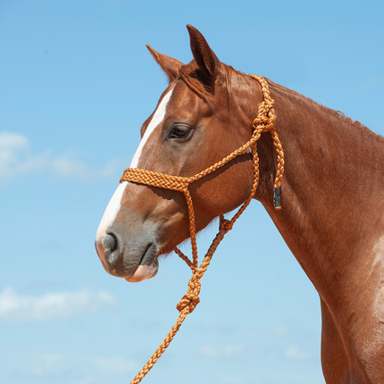 Cashel Flat Braid Halter w/ Lead Copper