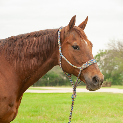 Cashel Flat Braid Halter w/ Lead Mardi Gras