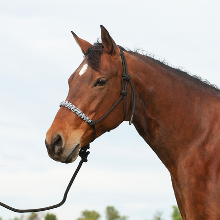 Cashel Braided Nose Rope Halter Black Camo