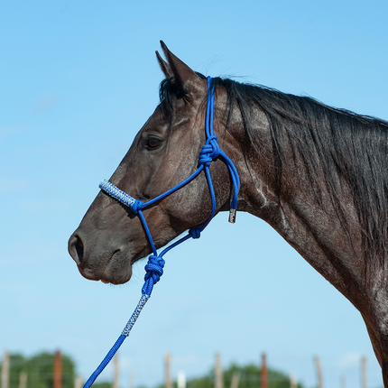 Cashel Braided Nose Rope Halter Blue Camo