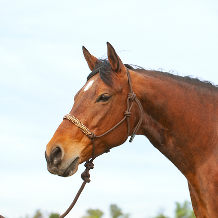 Cashel Braided Nose Rope Halter Brown Camo