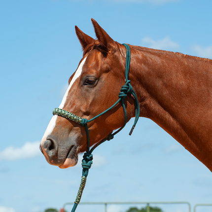 Cashel Braided Nose Rope Halter Green Camo