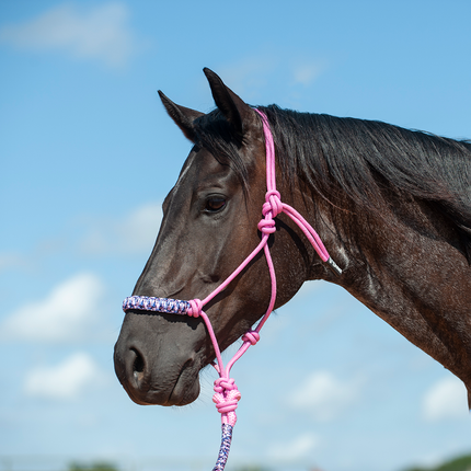 Cashel Braided Nose Rope Halter Pink Camo