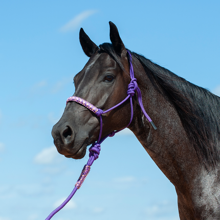 Cashel Braided Nose Rope Halter Purple Camo