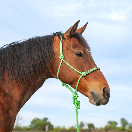Cashel Beaded Rope Halter w/ Lead Lime