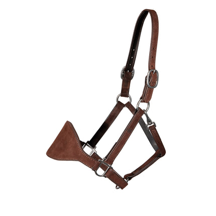 PC Bronc Halter Chocolate Roughout