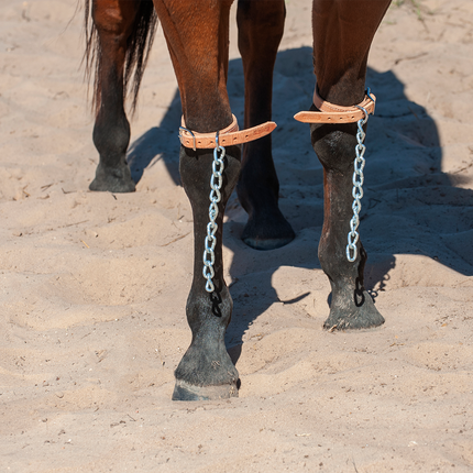 Pawing Chains Above Knee
